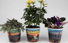Michigan Souvenir Planter - 86001