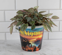 Michigan Souvenir Planter - 86001