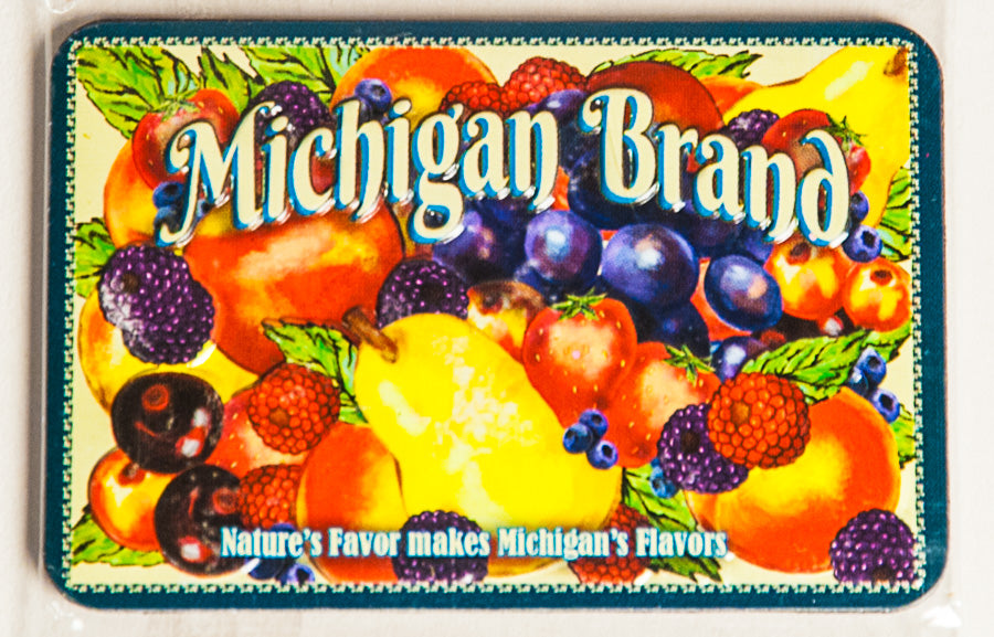Magnet Metal Fruits of Michigan - 51061